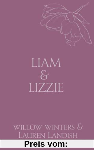 Liam & Lizzie: Tempted (Discreet Series, Band 12)